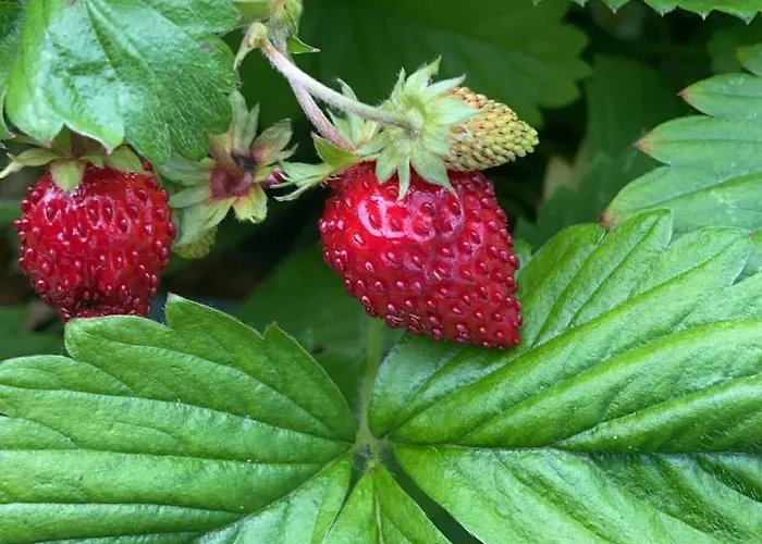 Villa By Hvalstrand Nesbru